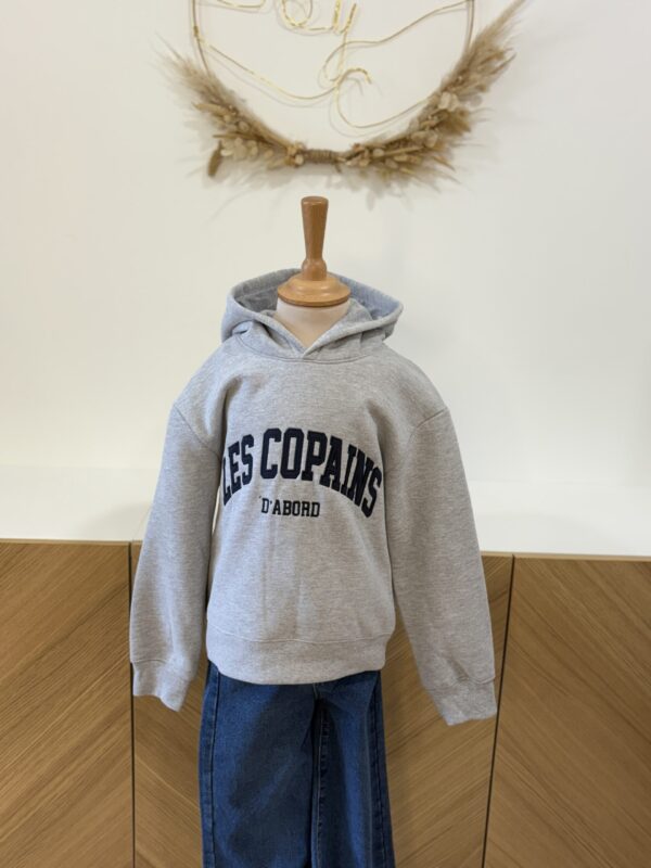 Sweat à capuche enfant gris – Les Copains d’Abord | Dream by C