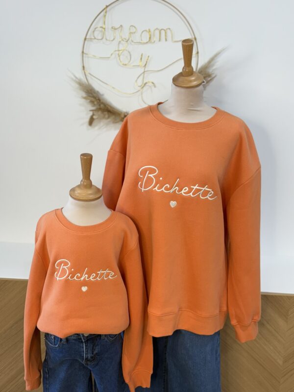 Sweat orange grande taille – Bichette brodé – Dream by C