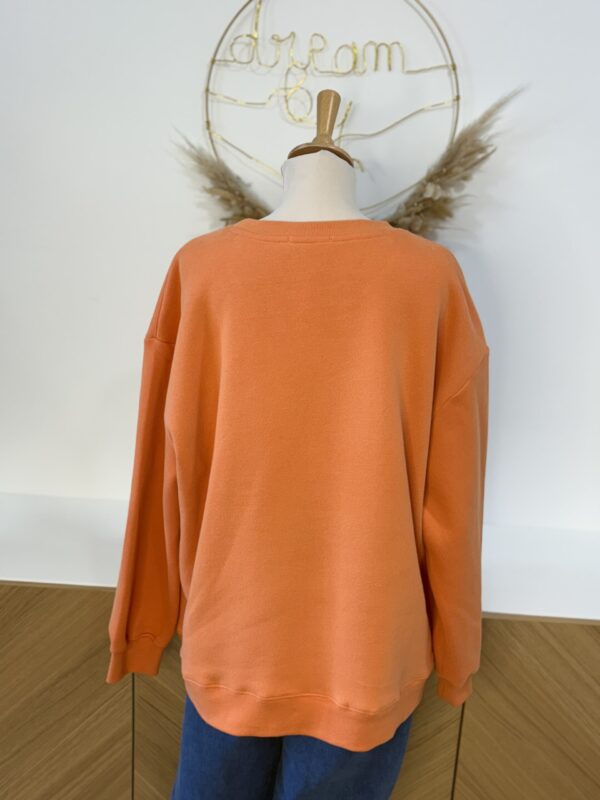 Sweat orange grande taille – Bichette brodé – Dream by C