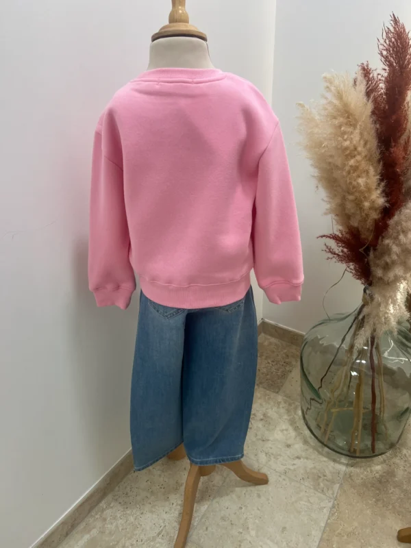 Sweat enfant col rond coton Ciao – Vert & Rose | Dream By C
