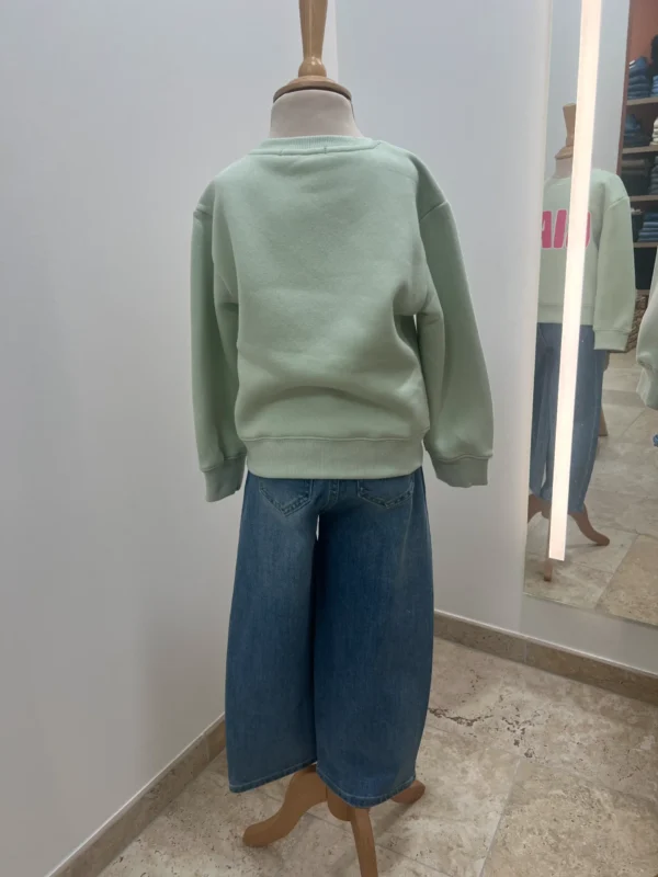 Sweat enfant col rond coton Ciao – Vert & Rose | Dream By C