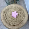 Pince à cheveux fleur pastel Casse Couille Chic | Dream By C