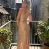 Robe sequins rose gold asymétrique soirée | Dream By C